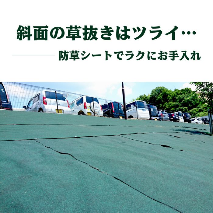 【無料サンプルお一人様1セット限り】70ｍｍ×110ｍｍサンプル4種セット(防草シート遮水・透水/人工芝冬芝・夏芝)芝生ガーデニング園芸DIY屋上緑化ベランダテラスバルコニー草抜き草引き草刈り農業畑あぜ道除草雑草雑草対策雑草防止透水遮水水はけ