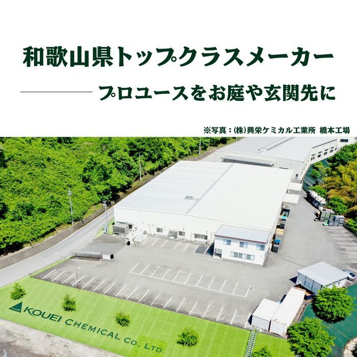 【固定用面ファスナー】150mm巾×5m人工芝連結部連結接続中央部面ファスナーマジックテープ施工固定杭芝生ガーデニング園芸DIY花壇家庭菜園屋上緑化ベランダテラスバルコニー防草シート草抜き草引き草刈り除草雑草雑草対策雑草防止高耐久